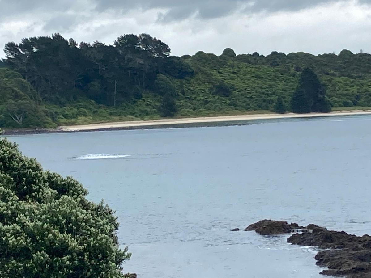 The Seahouse Daire Kerikeri Dış mekan fotoğraf